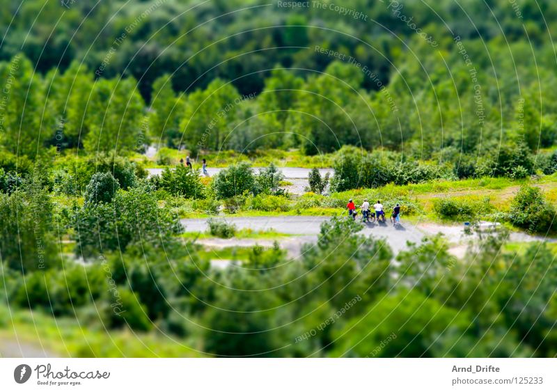 mini landscape Tilt-Shift Small Miniature Bird's-eye view Oberhausen The Ruhr North Rhine-Westphalia Green Tree Forest Leisure and hobbies To go for a walk