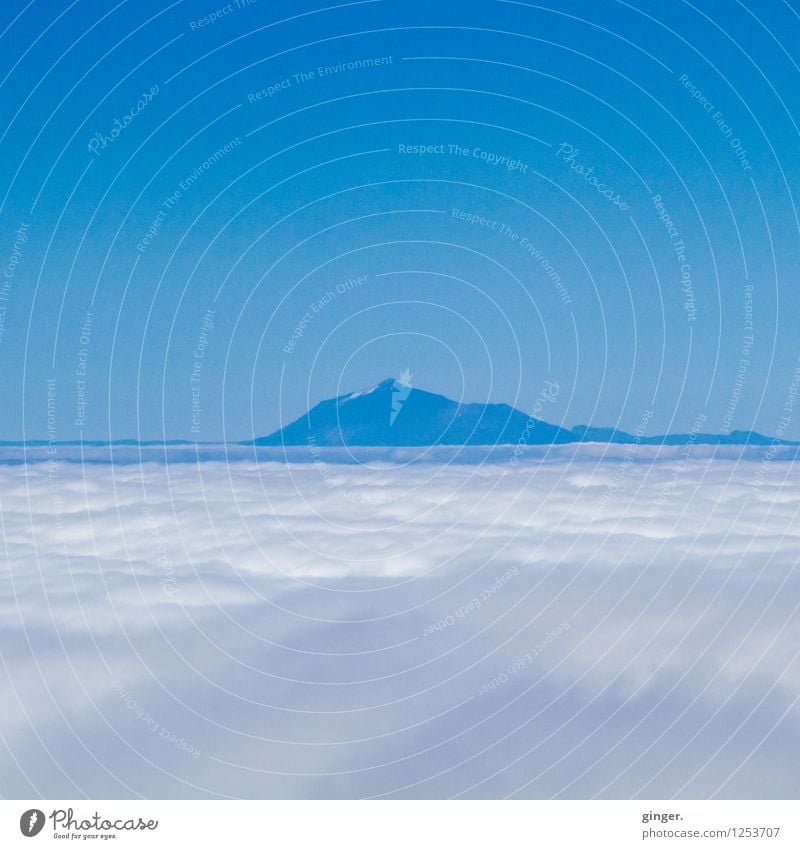 Sea of clouds Environment Nature Landscape Sky Clouds Spring Beautiful weather Rock Mountain Teide Peak Snowcapped peak Blue White Opposite Stick out Calm