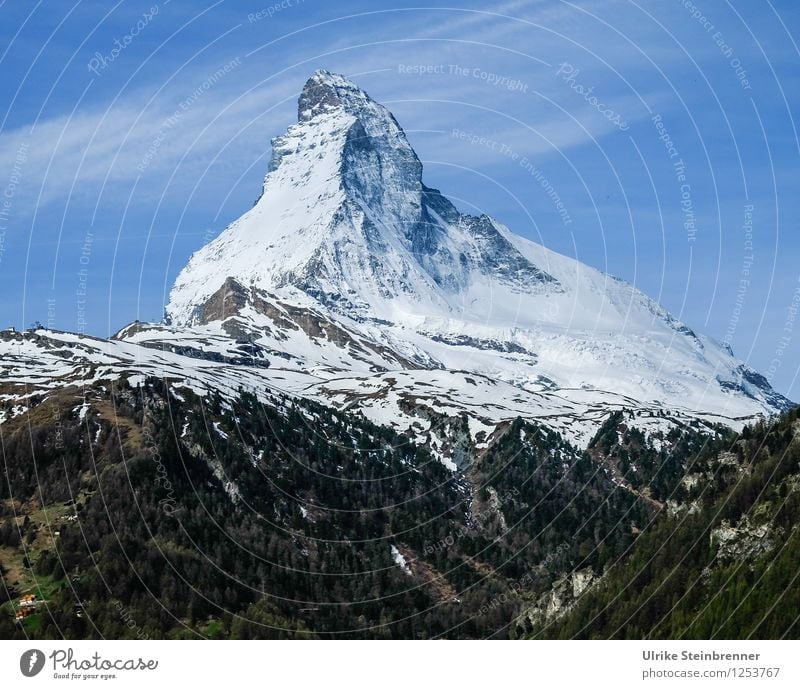 No matter how 2 Vacation & Travel Tourism Trip Freedom Snow Mountain Environment Nature Landscape Plant Spring Beautiful weather Tree Alps Matterhorn Peak