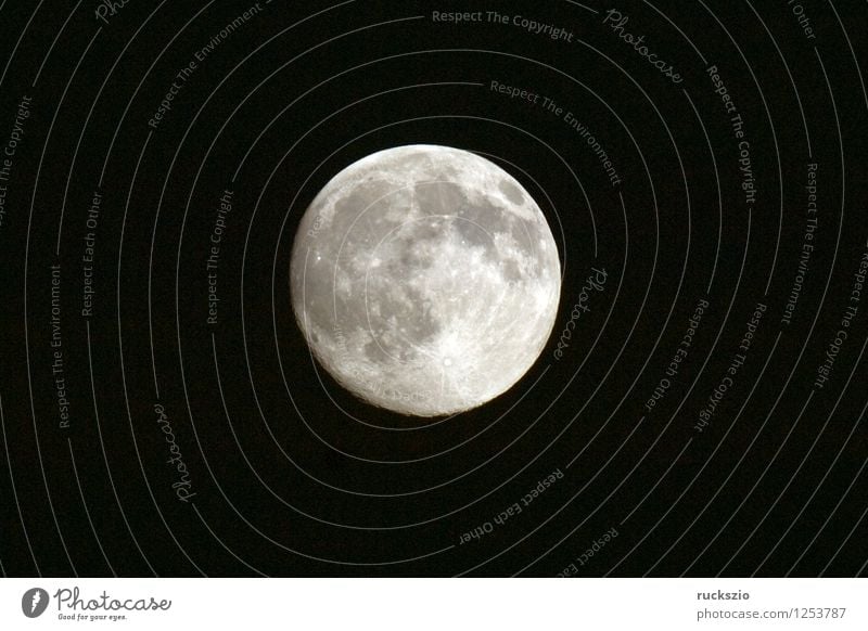 Full moon; Impression; Star; Earth satellite; Moon; Full  moon Dark Moody siluette siluettes Celestial bodies and the universe moon impression moon impressions