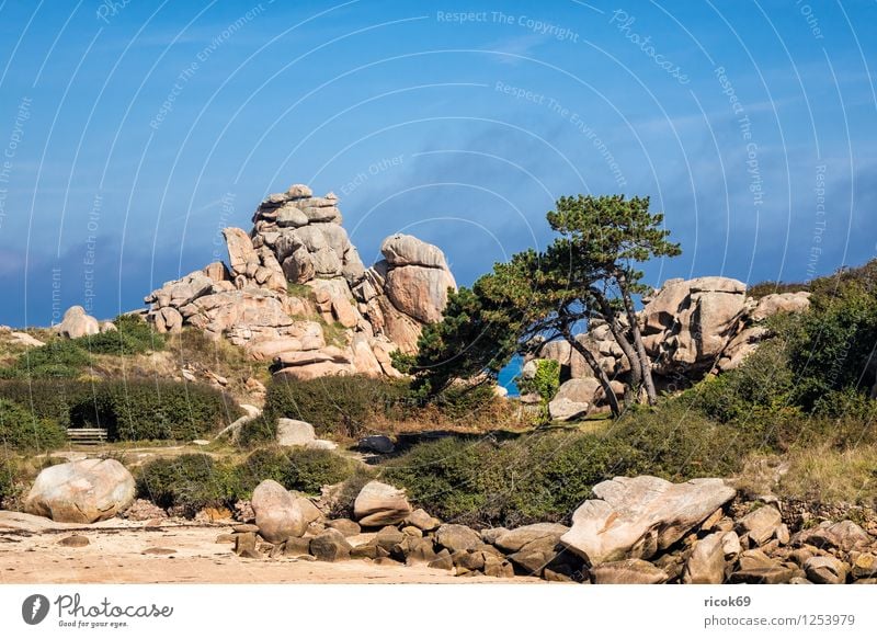 Atlantic coast in Brittany Relaxation Vacation & Travel Nature Landscape Clouds Tree Rock Coast Tourist Attraction Stone Tourism Atlantic Ocean Ploumanac'h