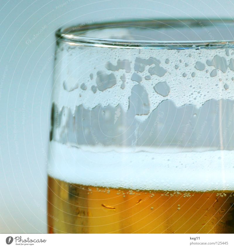 Cheers! A beer for Saturday night! Beer Beer glass Foam Drinking Alcoholic drinks Glass Froth Partially visible Section of image Detail Close-up Thirst-quencher