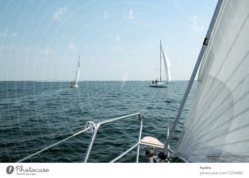Lazing on a sunny afternoon Relaxation Vacation & Travel Summer vacation Ocean Sailing trip Sailing vacation Yachting Railing Waves Coast Baltic Sea Fjord