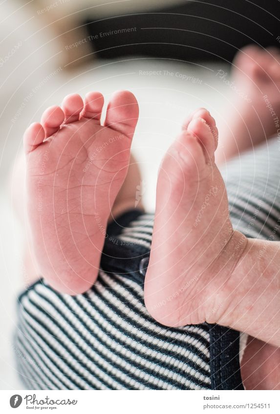 Baby Feet III Human being 1 0 - 12 months Small Toes Vulnerable Needy Footprint Naked rompers Kick about Happy Meaning of life Wonderful Colour photo