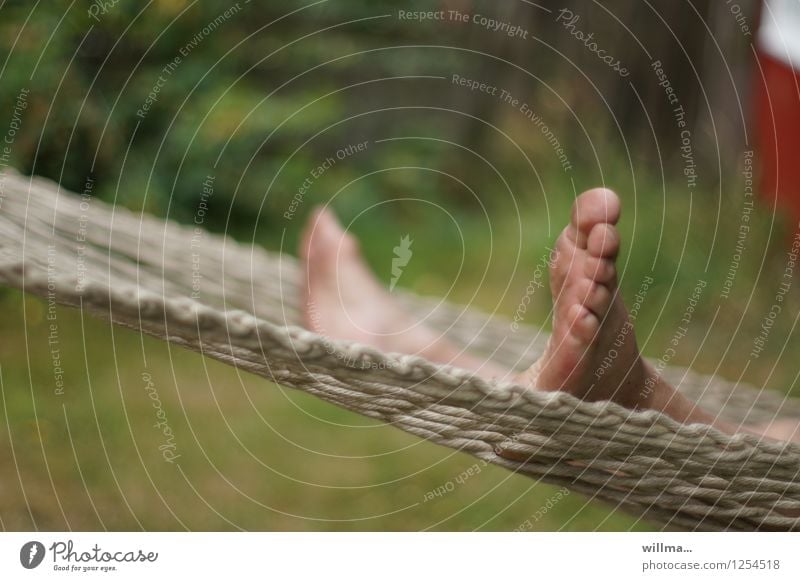 Feet in a hammock Toes Hammock Relaxation Lie Break Summer evening Leisure and hobbies Vacation mood Vacation & Travel Droop Weekend feet Human being masculine