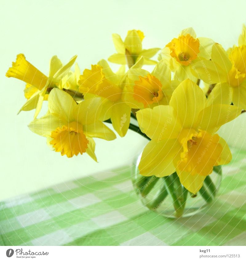 spring narcissus Narcissus Flower Vase Table Bouquet Daisy Wild daffodil Bell Hyacinthus Tulip Easter egg Spring Feasts & Celebrations Stalk spherical vase
