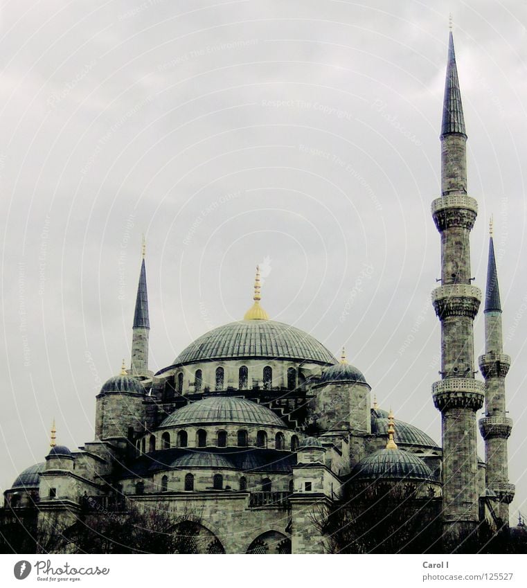 mightily Mosque Prayer Allah Deities Belief Vacation & Travel Art Istanbul Turkey Religion and faith Carpet Minaret Domed roof House of worship Moslem Tradition