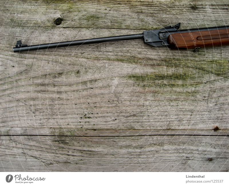 RIFLE I Table Wood Rifle Weapon Telescope Fear Panic Walking Target