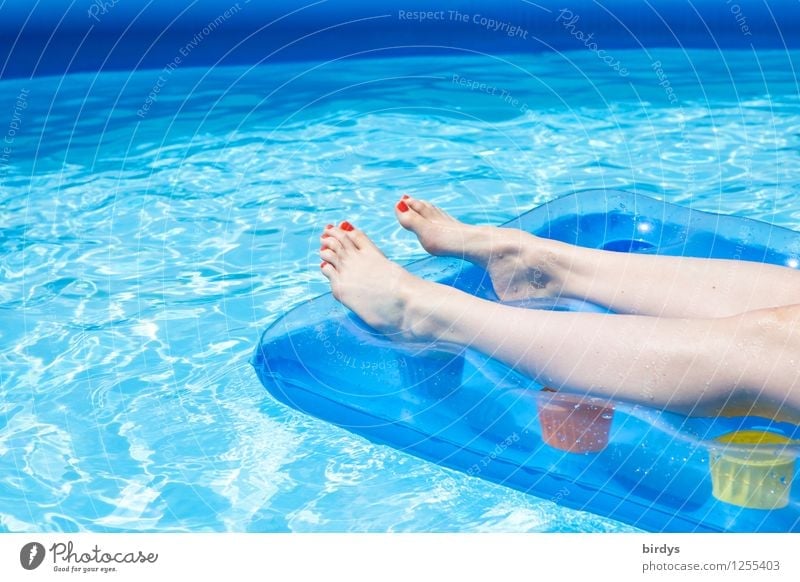 in the pool Lifestyle Nail polish Wellness Well-being Relaxation Swimming pool Summer vacation Feminine Young woman Youth (Young adults) Legs 1 Human being