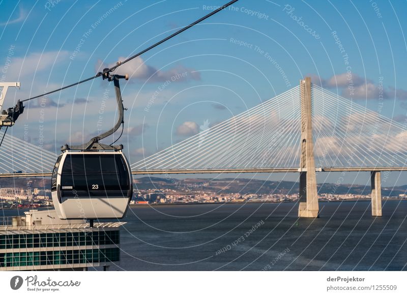 Gondola lift and Ponte Vasco da Gama Vacation & Travel Tourism Trip Adventure Far-off places Freedom Sightseeing City trip Summer vacation Environment