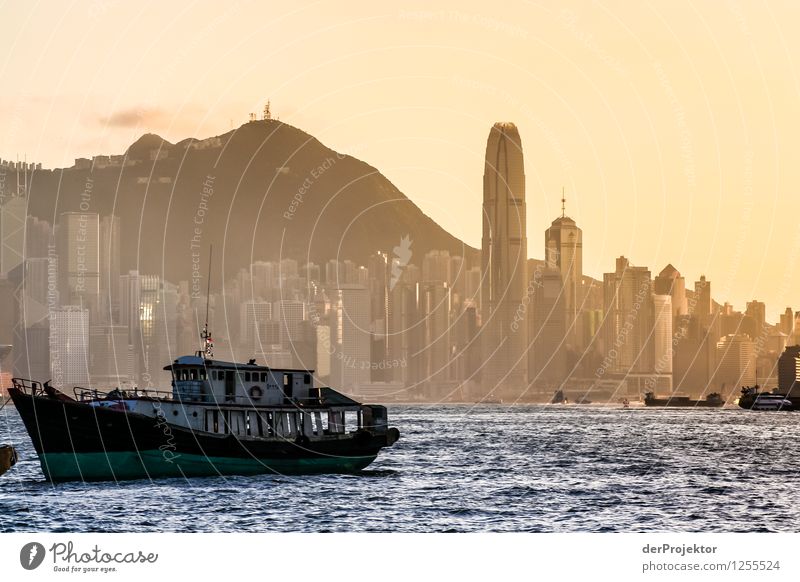 Sunset in Hong Kong with Skyline II Environment Nature Landscape Plant Summer Mountain Waves Coast Lakeside River bank Bay Ocean Capital city Port City