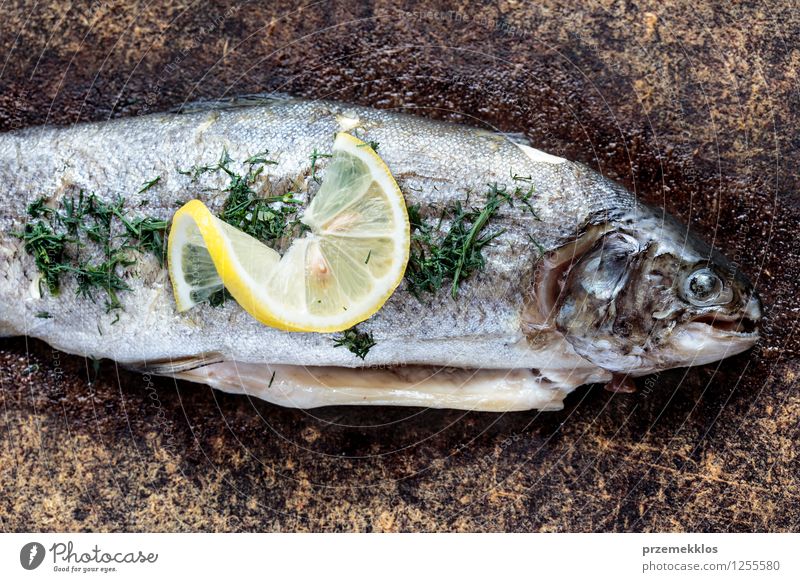 Trout dish on picnic away from home Fish Herbs and spices Lunch Dinner Healthy cooked Dish Lemon Meal prepared Slice Colour photo Exterior shot Deserted