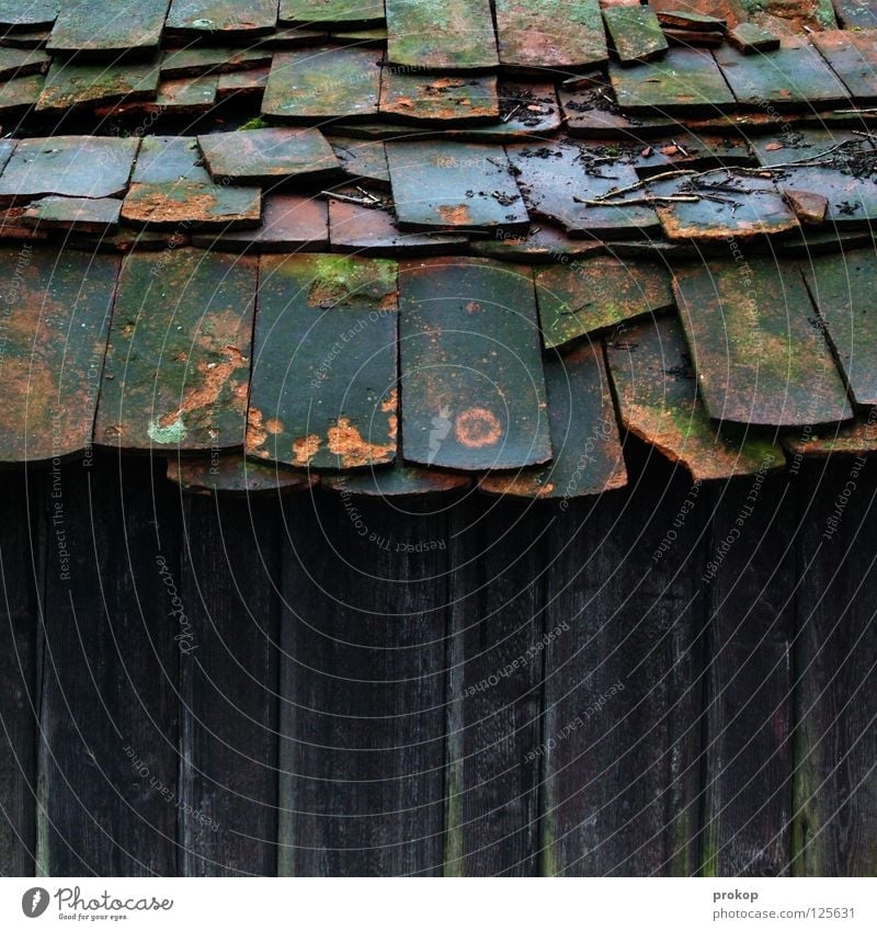 Overbite with caries Brick Roof House (Residential Structure) Wood Decline Chaos Broken Derelict Ruin Collapse Dangerous Roofing tile Hollow Perforated Damp