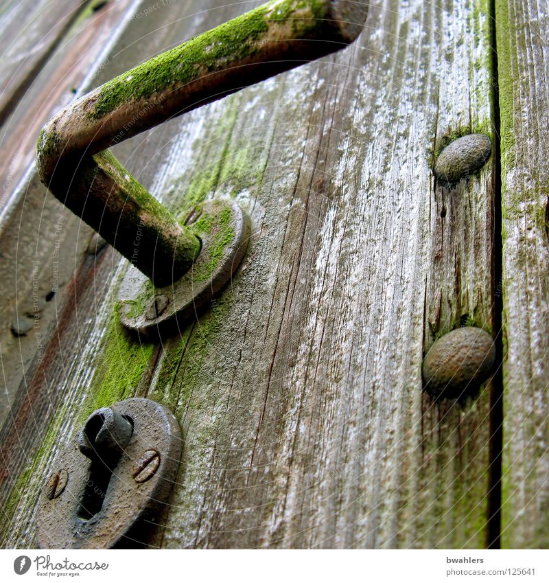 mysterious Wood Door handle Nail Rust Unlock Gray Derelict Garden Park garden door Gate Old Castle