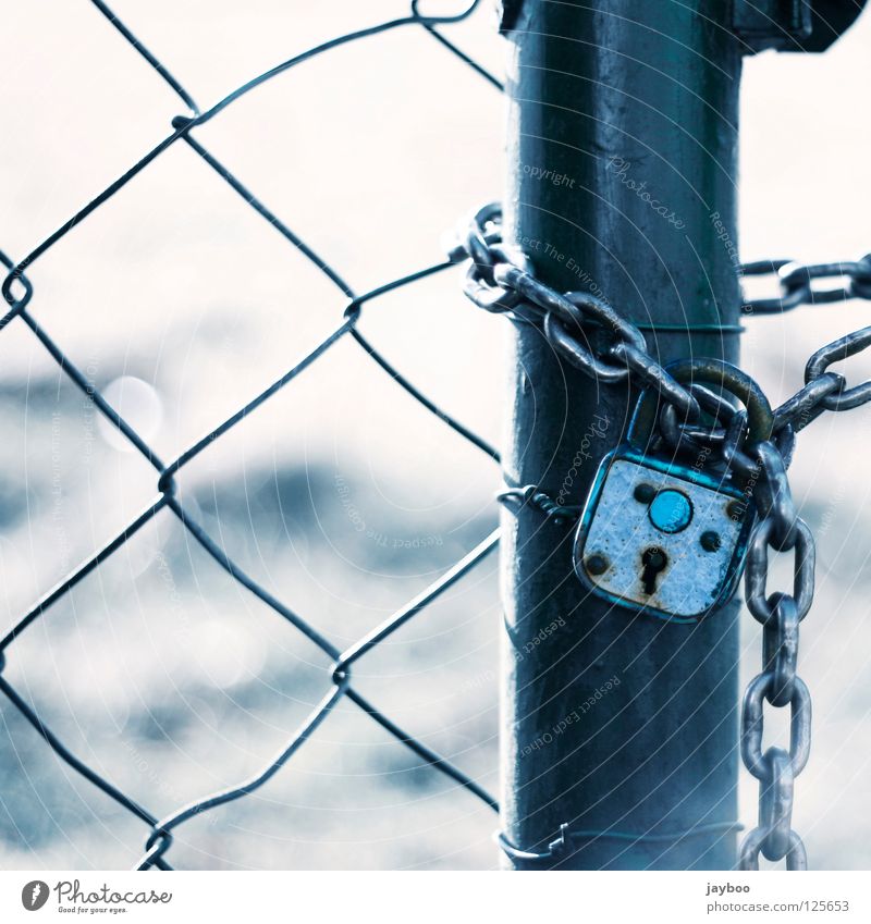 no way out Wire netting fence Fence Padlock Meadow White Closed Key Passage Captured Detail Blue Chain no escape Exterior shot