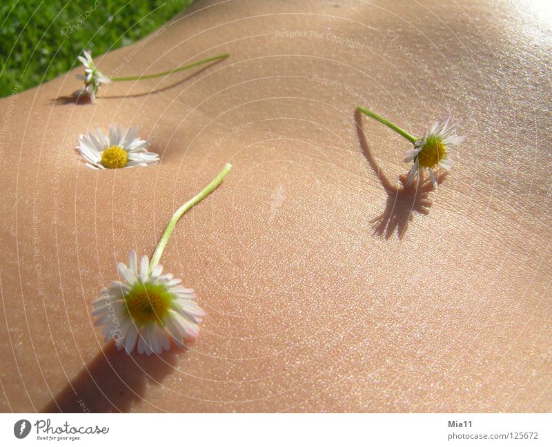 flower belly Daisy Beautiful Summer Relaxation Calm Exterior shot Woman Joy Macro (Extreme close-up) Close-up Stomach