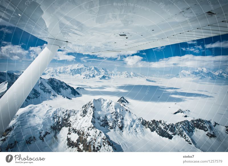 Glacier Land II Ice Frost Mountain In the plane Flying Gigantic Infinity Tall Cold Blue Freedom Horizon Pure Far-off places Alaska Icefield Aerial photograph