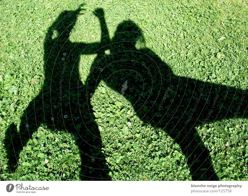 the shadow proves the sunshine Summer Meadow 2 Green Black Attack Fight Sun green meadow Shadow two people two persons two shadows Contrast pot Joy