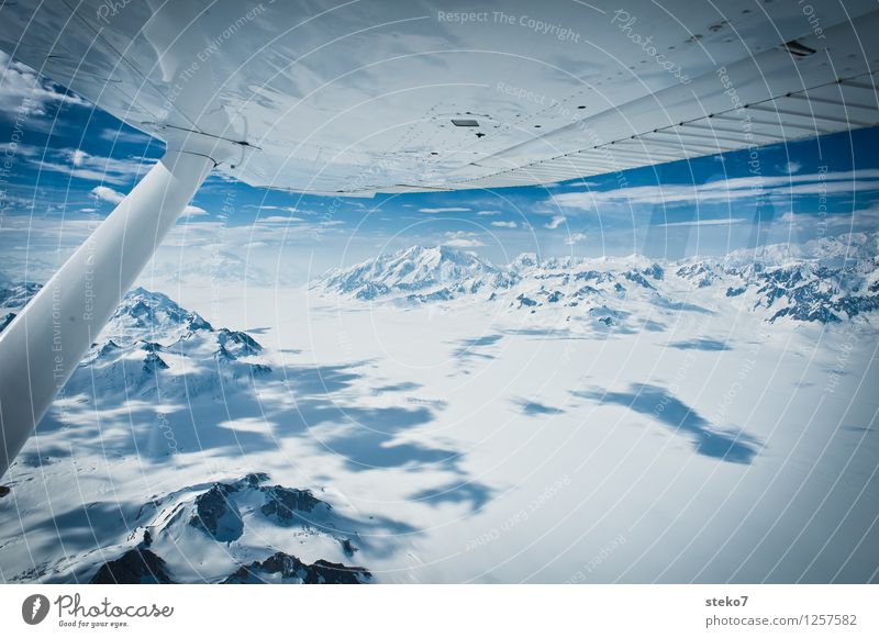 Glacier Land VIII Mountain Peak Snowcapped peak In the plane Flying Infinity Cold Blue White Loneliness Horizon Far-off places Yukon Kluane National Park