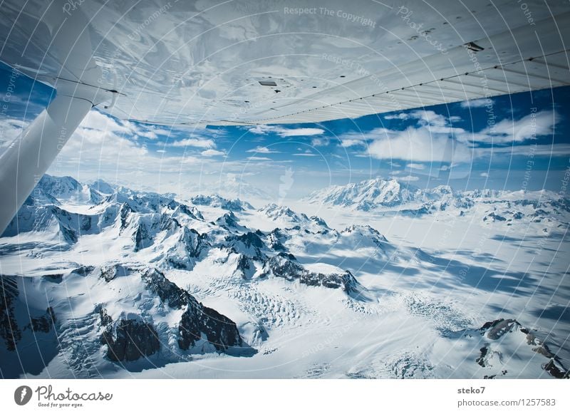 Glacier Land VII Mountain Peak Snowcapped peak In the plane Flying Free Gigantic Infinity Cold Blue White Loneliness Horizon Far-off places Yukon