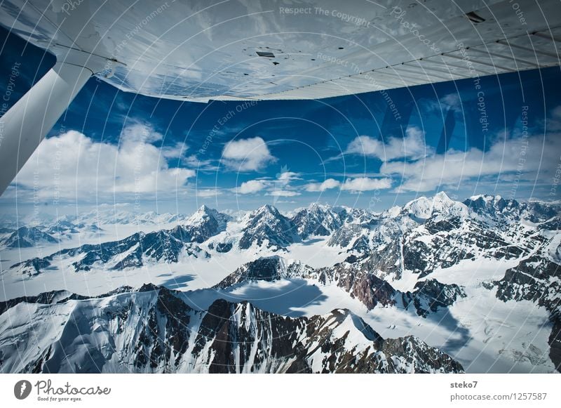 Glacier Land IX Mountain Snowcapped peak Flying Far-off places Free Infinity Cold Blue White Loneliness Alaska Wing Aerial photograph