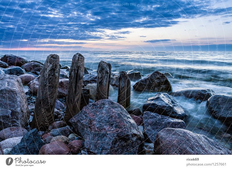 Stage at the Baltic Sea Relaxation Vacation & Travel Beach Ocean Landscape Water Rock Coast Stone Blue Break water Mecklenburg-Western Pomerania Heiligendamm