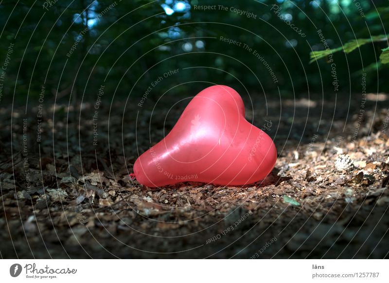 pZ3 l emotional state Woodground Heart Forest Balloon lit Sun Love sorrow Romance Deserted Exterior shot Emotions Infatuation Sign Declaration of love