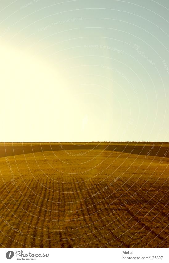 straight ahead Field Furrow Sowing Right ahead String Horizon Agriculture Ecological Lighting Round Semicircle Back-light Radiation Green Air Sky Tracks Line