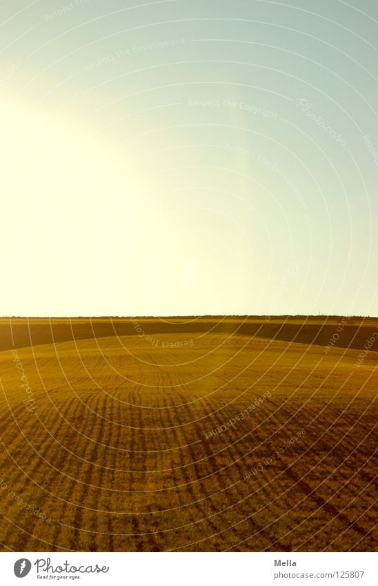 straight ahead Field Furrow Sowing Right ahead String Horizon Agriculture Ecological Lighting Round Semicircle Back-light Radiation Green Air Sky Tracks Line