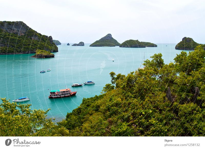 boat coastline of a green lagoon a Vacation & Travel Tourism Trip Freedom Summer Beach Island Nature Plant Sand Beautiful weather Tree Flower Leaf Hill Rock