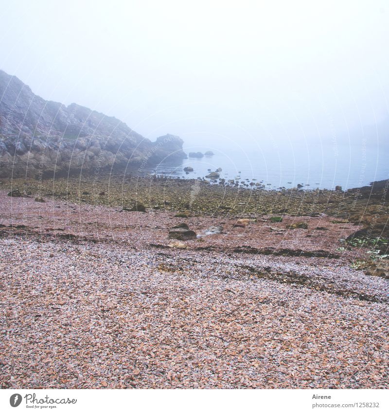 take one's time Landscape Fog Beach Bay Ocean English Channel England Cold Positive Gloomy Soft Blue Red Serene Grief Longing Loneliness Moody Calm Meditative