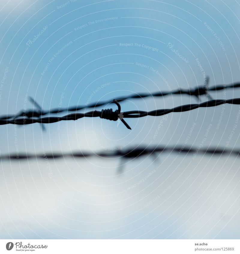 demarcations Barbed wire Border Jump Fence Peace Sky Barrier Blue Freedom