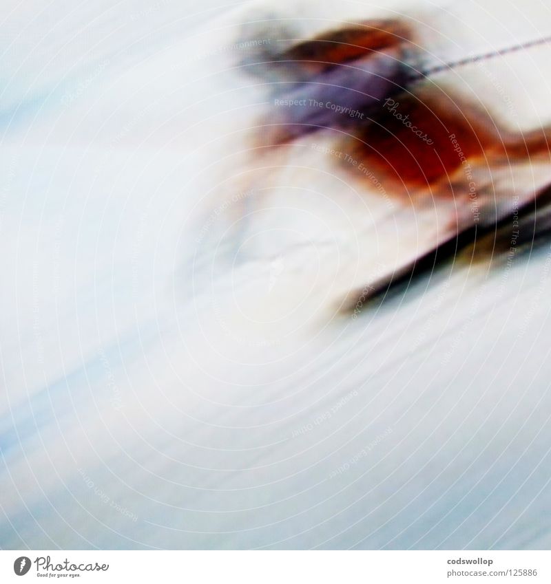 ski sunday Skis Skier Downhill race Concentrate Winter sports Sporting event Competition Speed blur Snow downhill Movement befogged quick