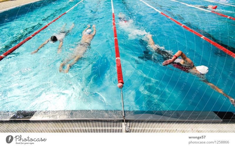 heat-free Sports Sporting event Triathlon Swimming Swimming & Bathing Swimming pool Human being Masculine 5 Group Wet Athletic Blue Gray Red White