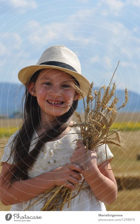 smiling little girl holding wheat in hands Food Grain Organic produce Lifestyle Beautiful Healthy Summer Sun Human being Child Girl Body Head