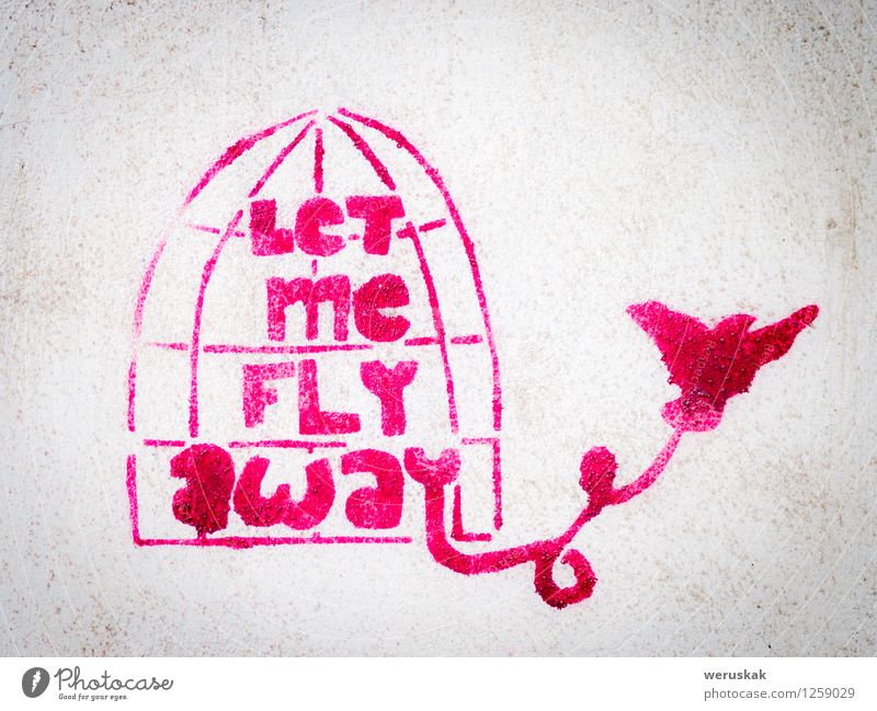 Pink stencil graffiti with bird leaving a cage Freedom Art Work of art Painting and drawing (object) Culture Subculture Street Bird Concrete Graffiti Dream
