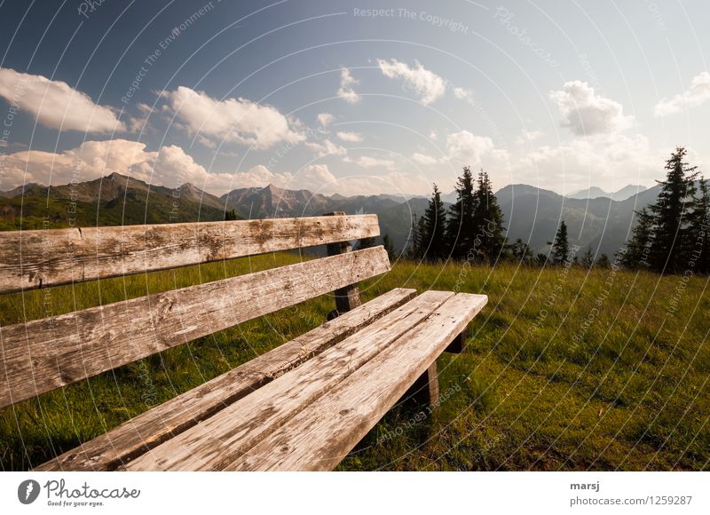 One extra day Nature Autumn Beautiful weather Alps Mountain Bench Wood Calm Relaxation Recreation area Long Colour photo Subdued colour Exterior shot Deserted
