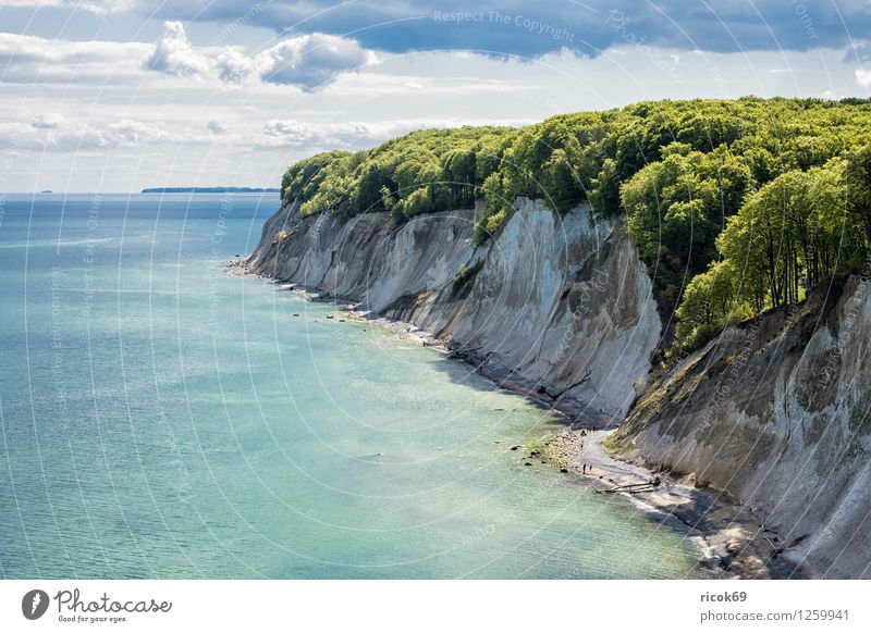 chalk cliffs Relaxation Vacation & Travel Nature Landscape Clouds Tree Coast Baltic Sea Ocean Tourist Attraction Blue Romance Idyll Tourism Environment