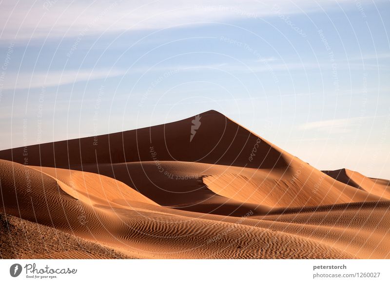 Dune 14 Vacation & Travel Far-off places Freedom Nature Landscape Sand Sky Desert Line strutures Esthetic Exceptional Elegant Exotic Fantastic Hot Round