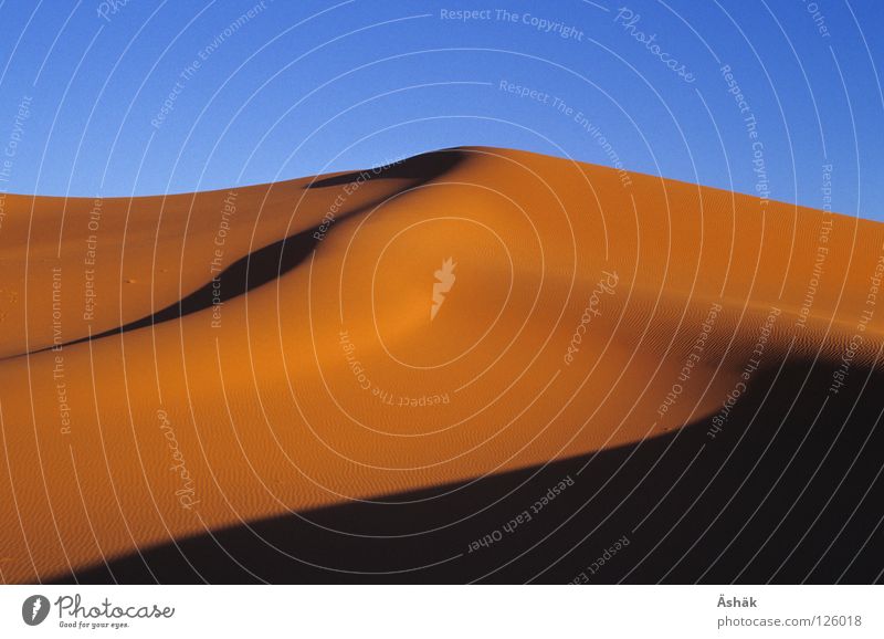 dune Africa Niger Drought Dusk Desert Sahara Sand Beach dune Shadow Beautiful weather