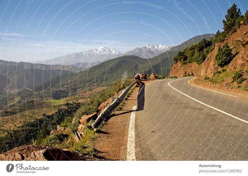 into the mountains Environment Nature Landscape Plant Sky Horizon Summer Weather Beautiful weather Snow Tree Flower Bushes Meadow Field Forest Hill Mountain