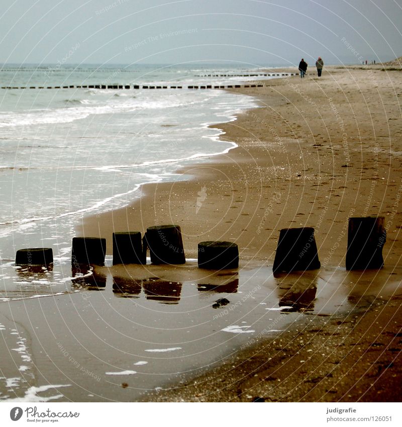 beach Ocean 2 Hiking To go for a walk Calm Empty Refrigeration Vacation & Travel Cold Gray Gloomy Wood Break water Wet Green Horizon Beach Salty Reflection