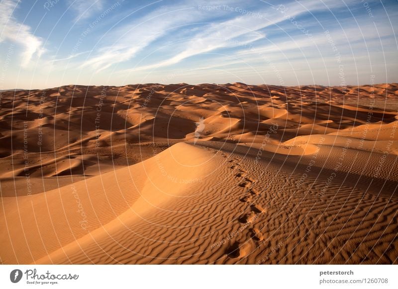 Traces in the sand Nature Landscape Sand Desert Exceptional Elegant Exotic Fantastic Far-off places Hot Above Dry Moody Romance Beautiful Purity Humble Longing