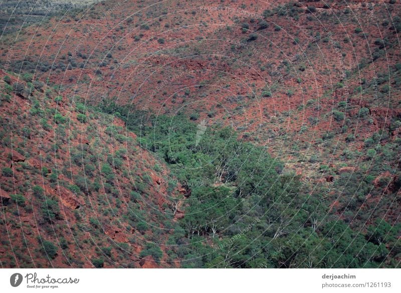 Kings Canyon Gorge from above. Northern Territory. Australia. With green trees and red rocks. Happy Contentment Leisure and hobbies Trip Summer Environment