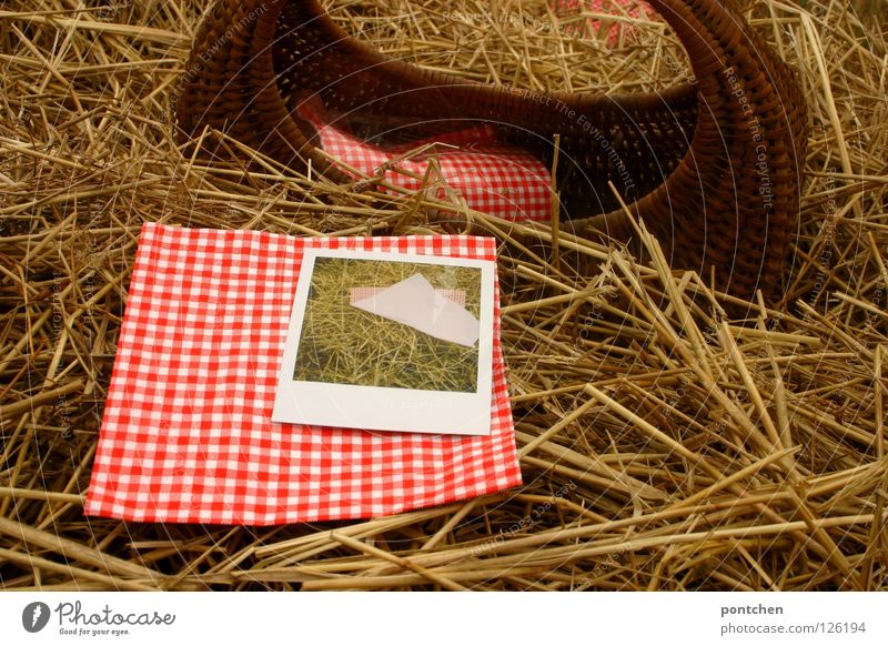Basket and red-white checked napkin and polaroid in straw Vacation & Travel Trip Summer Nature Autumn Agricultural crop Red White Idyll Break Straw Hay Napkin