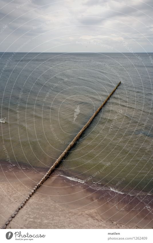 flyover Environment Nature Landscape Sand Sky Clouds Horizon Autumn Weather Bad weather Waves Coast Beach Ocean Blue Brown Gray Green Wooden stake Perspective