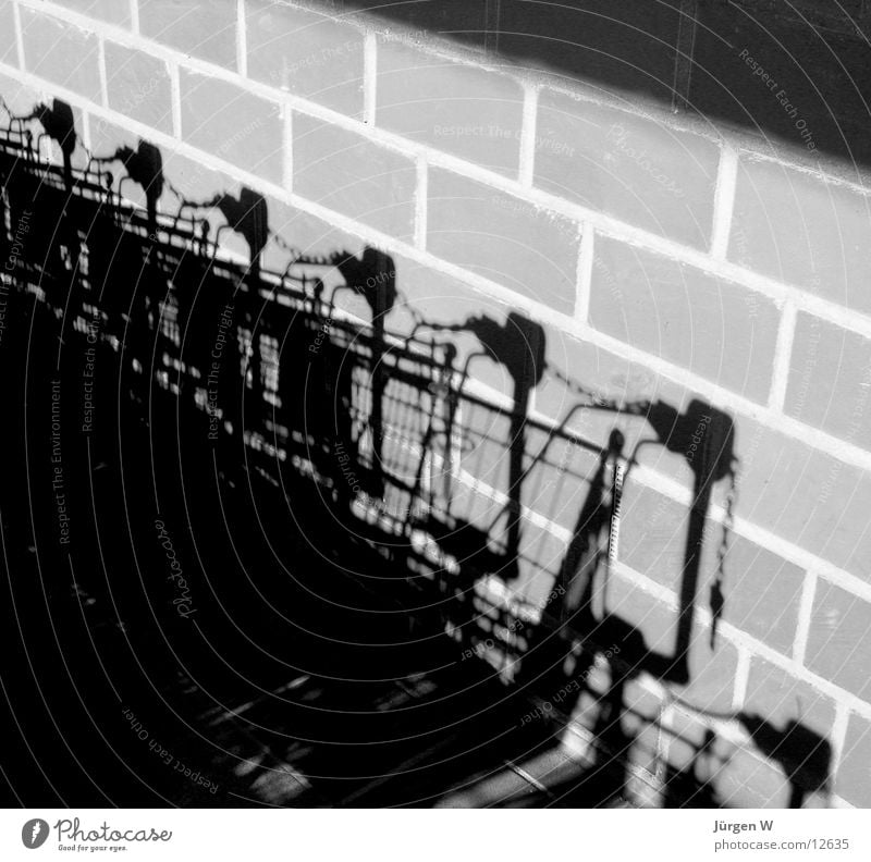 Shadows on the Wall Wall (building) Black White Shopping Trolley Wall (barrier) Light Photographic technology trolley
