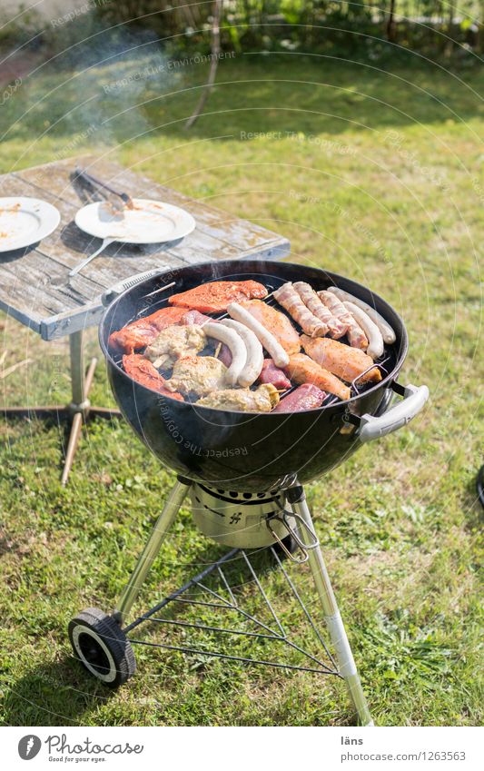 barbecue season Barbecue (event) Garden Feasts & Celebrations Meat Barbecue (apparatus) Summer