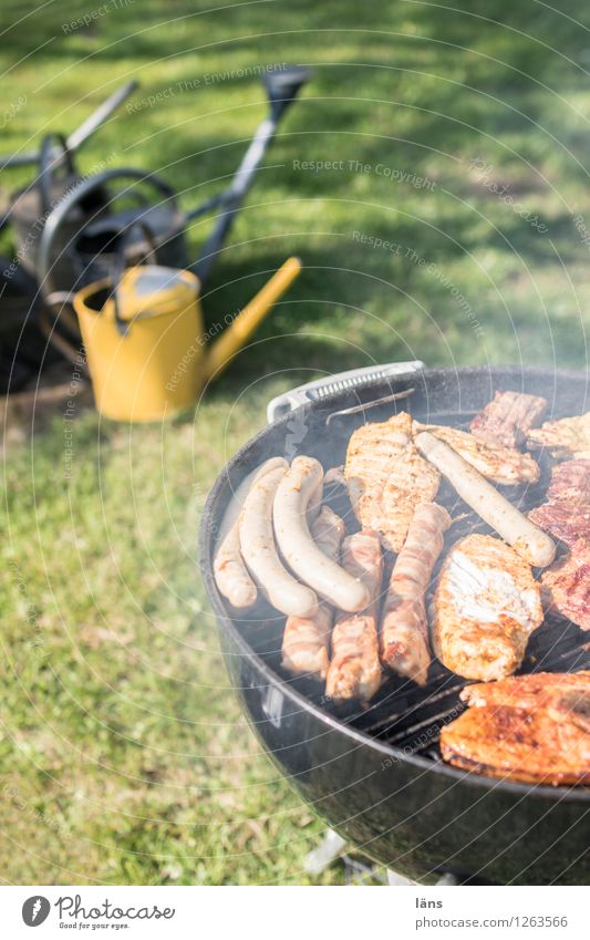 barbecue season Feasts & Celebrations Eating BBQ Nature Summer Garden Meadow Barbecue (apparatus) Wait Leisure and hobbies Watering can Sausage Meat