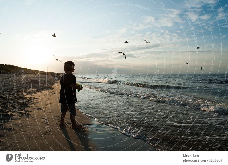 the little boy and the sea Vacation & Travel Adventure Far-off places Summer vacation Beach Ocean Waves Human being Child Boy (child) Infancy 1 3 - 8 years